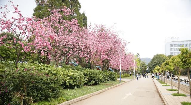 云南联合经济学校