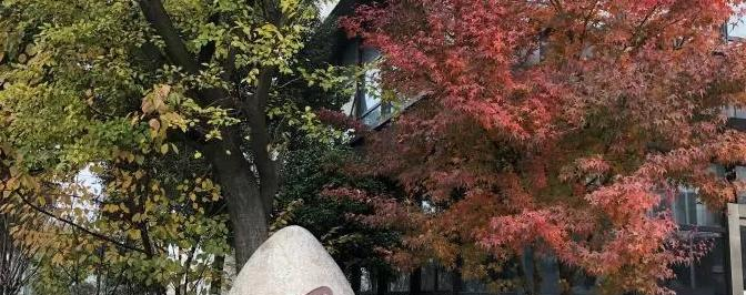 南京栖霞中学2021年招生代码