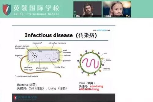 大连英领