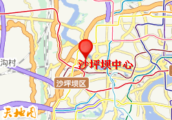 沙坪坝中心