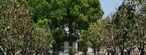 安徽天柱山旅游学校