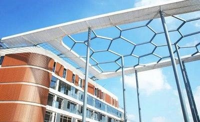 湖州帕丁顿双语学校着力打造高端民办学校：大艺术中心