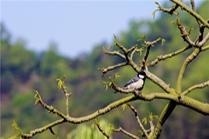 珠海市国际商务培训学校