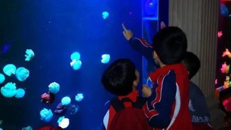 国内小学生前往水母主题海洋馆研学.jpg