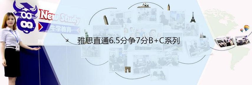 雅思直通6.5分争7分B+C系列