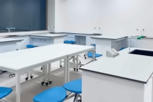 深圳市深美外籍人员子女学校国际高中IBDP课程招生简章