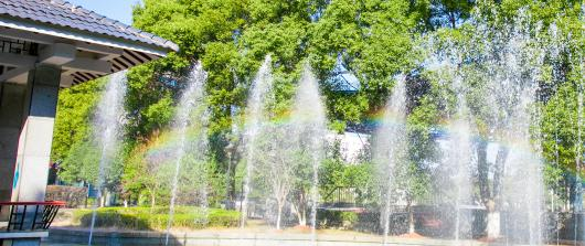 江西机电职业技术学院2020年报名条件、招生要求、招生对象