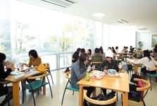 新潟青陵大学