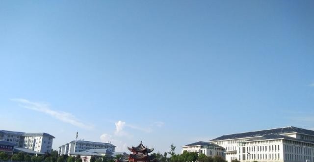 信阳5