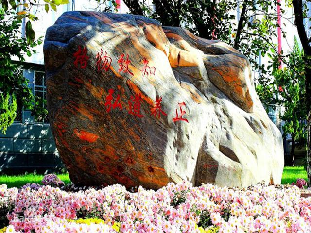 校园风采(二)