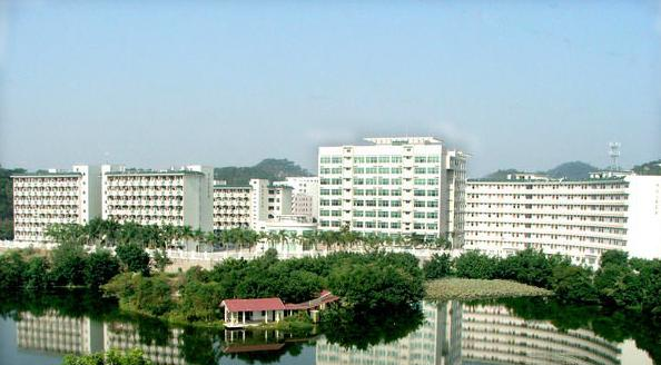 截图_20191018084121