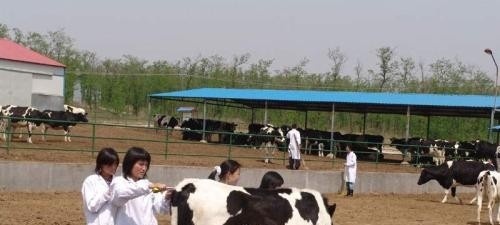 山东畜牧兽医职业学院单招2019年单独招生有哪些专业