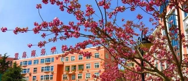 青岛商务学校
