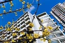 上海大学成人自考