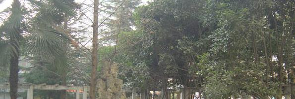 竹山职业技术集团学校1