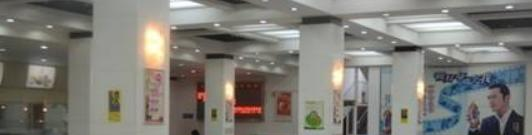 上海常青藤学校