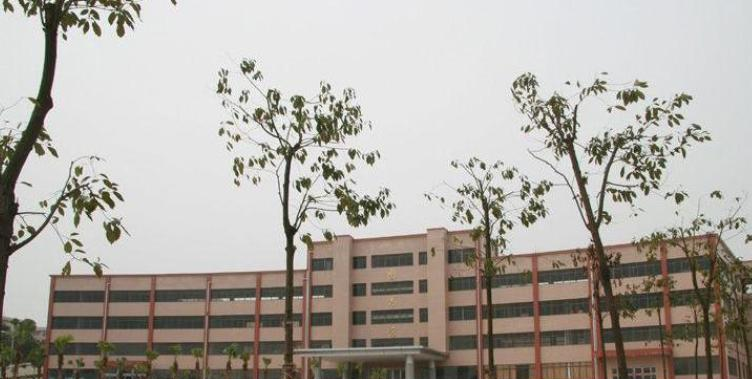 截图20200417141600