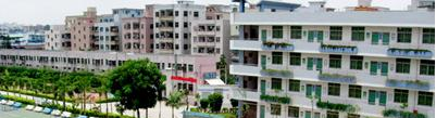 深圳赛格国际学校地址在哪里