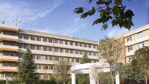 截图_20191017150012