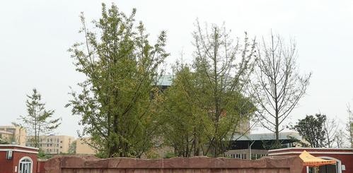 四川艺术职业学院是几专