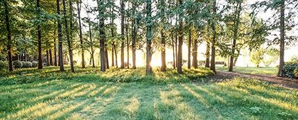 人生在于创造而不在于重复