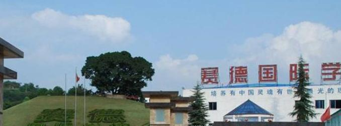 重庆万州赛德国际学校2020年报名条件、招生要求、招生对象