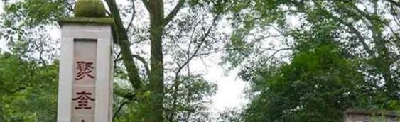 11截图_20201029094414