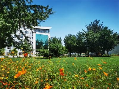 北京化工大学留学项目