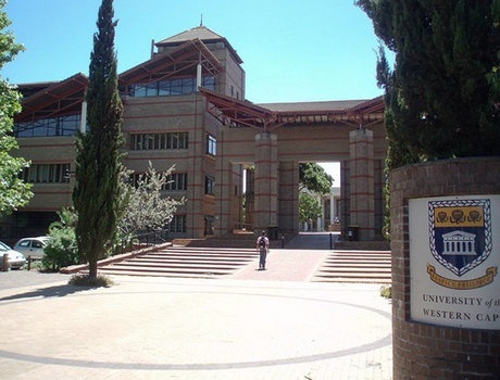 西开普大学