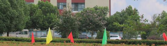 合肥共达职业技术学院2020年学费、收费多少