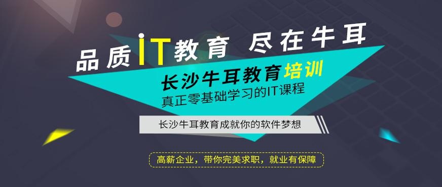 长沙牛耳IT培训