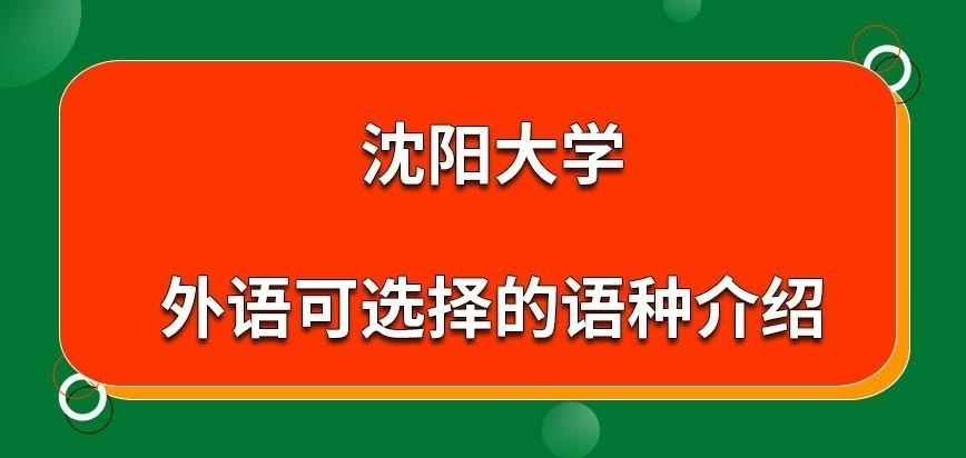 沈陽大學在職研究生外語有哪些語種可選擇呢