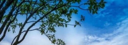 重庆护理职业学院