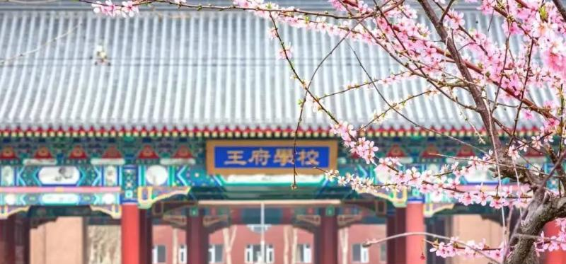 北京王府学校2023年学费、收费多少