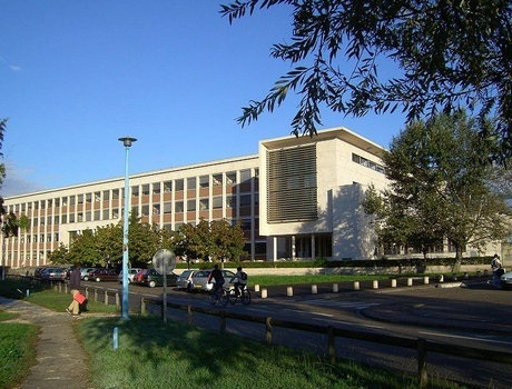 波尔多大学
