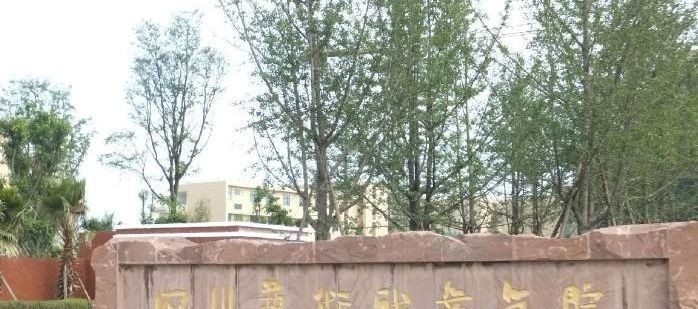 四川艺术职业学院单招