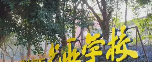成都麓山国际光亚学校小学部