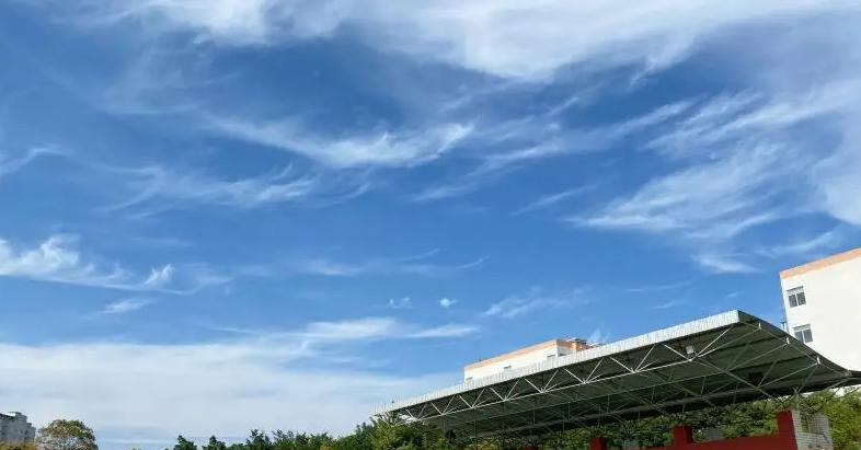 成都青苗国际双语学校