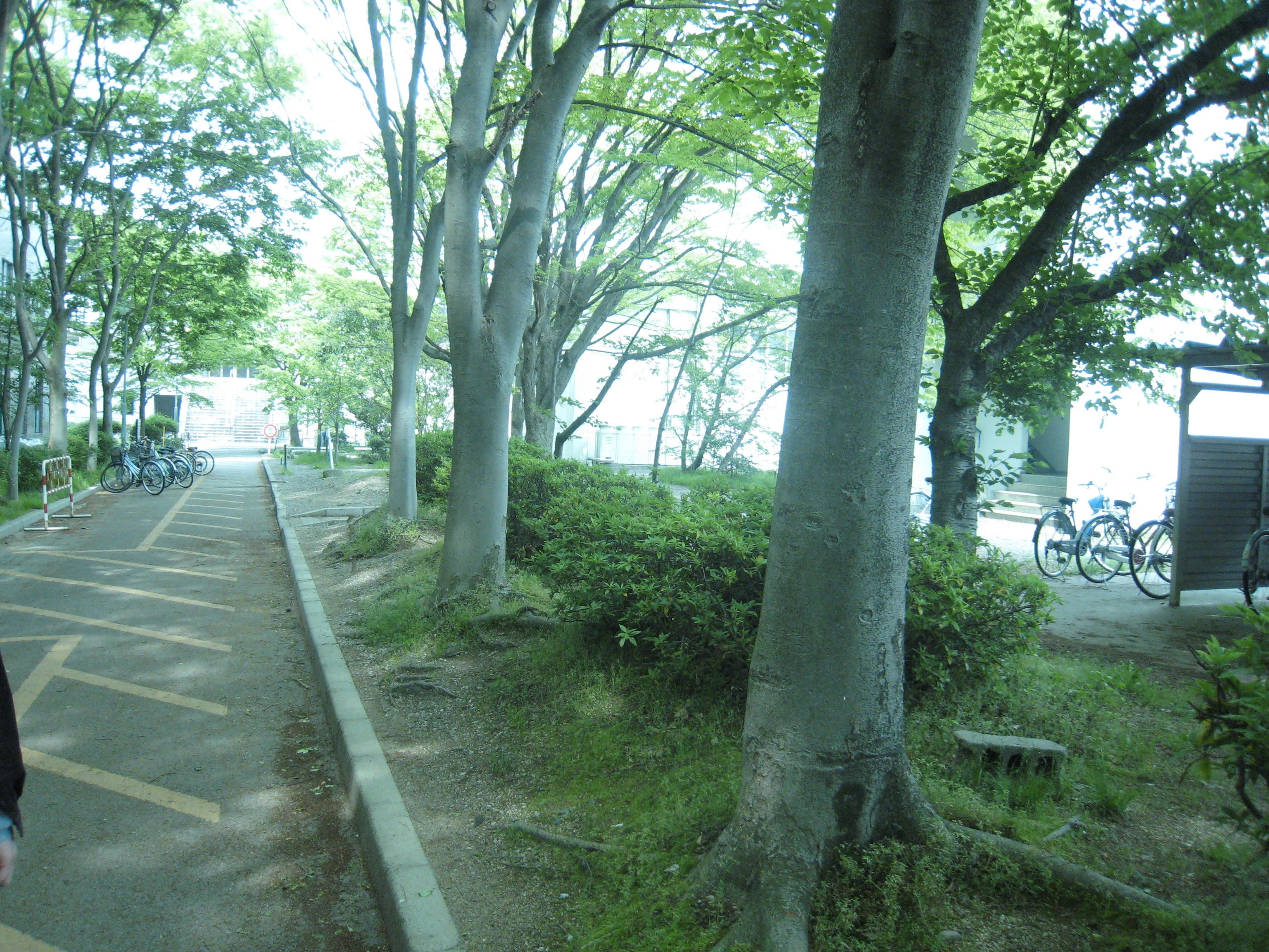 滋贺大学