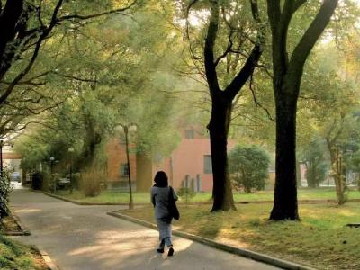 上海应用技术大学国际教育中心国际本硕课程(英美澳方向)