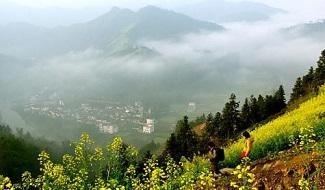 晨山学校