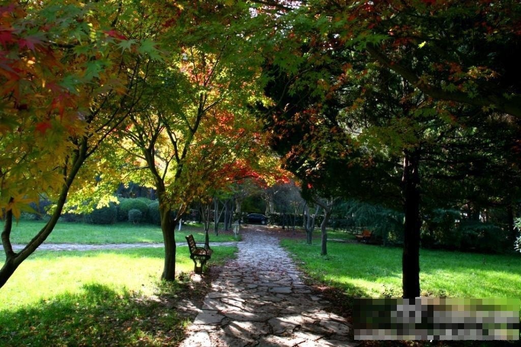 西安交通大学校园一角