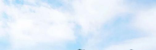 截图_20211116125650