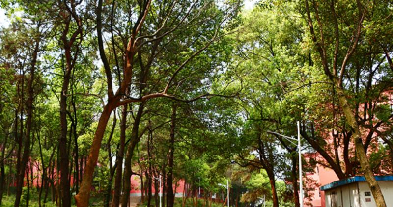 截图20200103135440