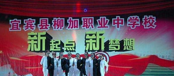 宜宾县柳加职业中学