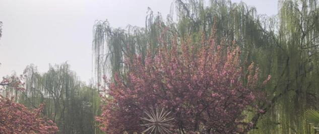 河北安国中学2021年报名条件、招生要求、招生对象