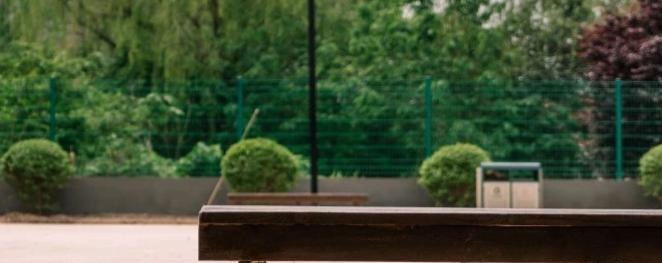 2023年西安艺术职业高级中学有哪些专业