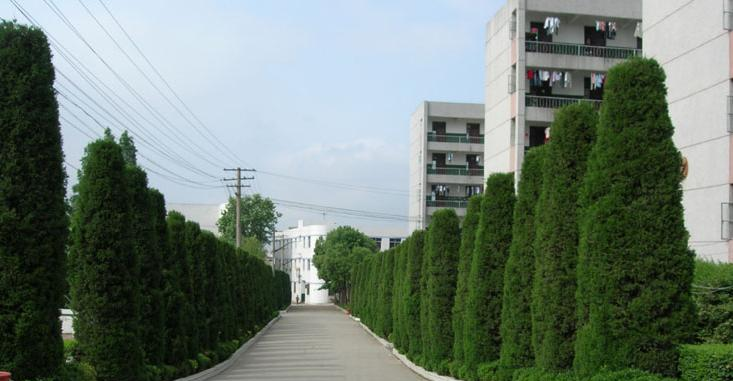 湖北麻城师范学校