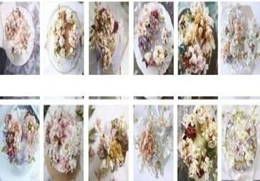 重慶蛋糕師學校