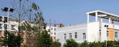 11截图_20201029094414